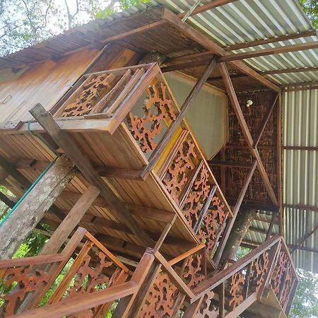 Hotel Karupa Amazonas Leticia Ngoại thất bức ảnh