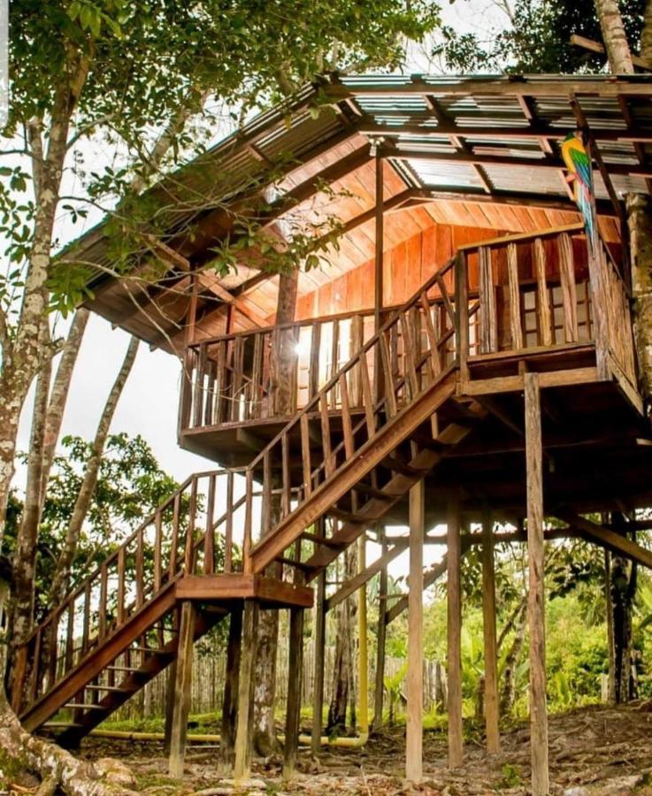 Hotel Karupa Amazonas Leticia Ngoại thất bức ảnh