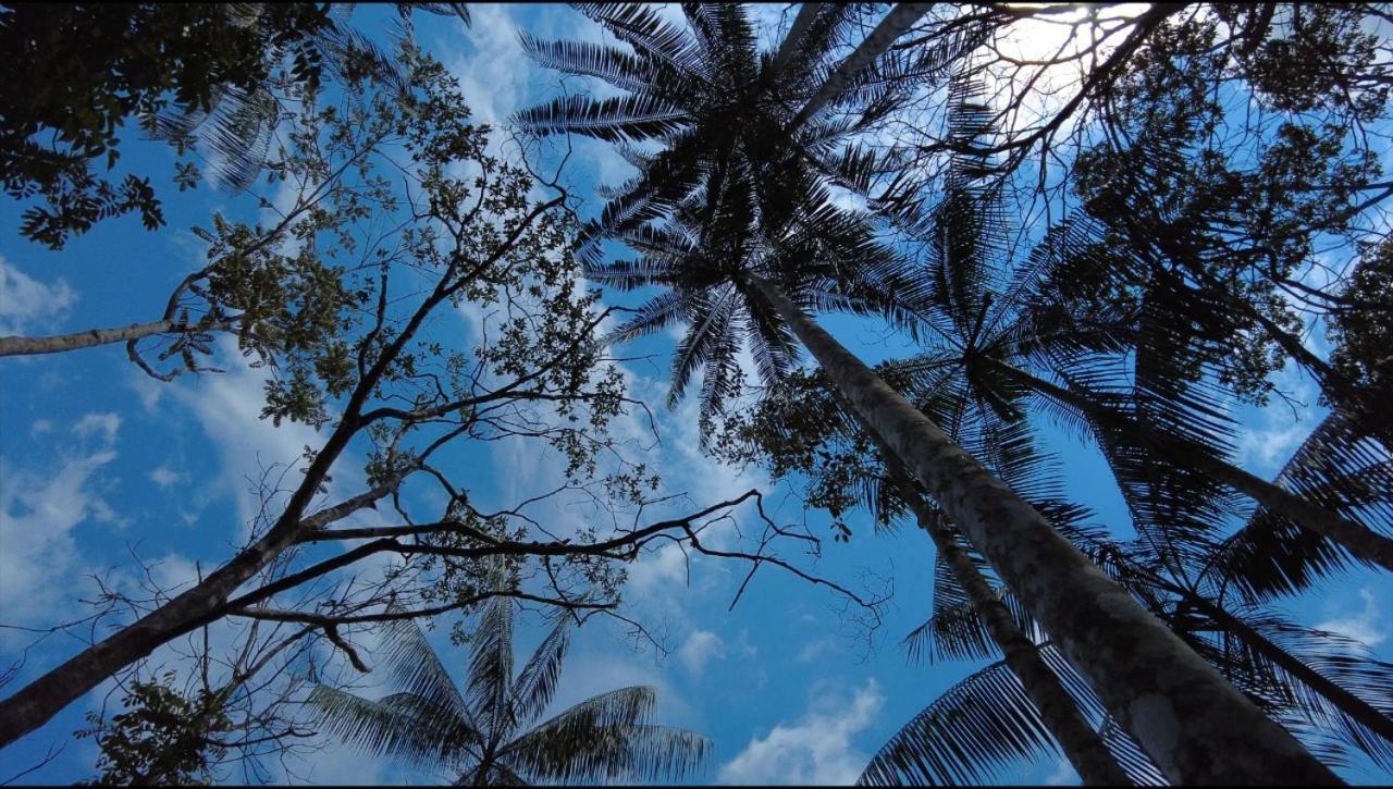 Hotel Karupa Amazonas Leticia Ngoại thất bức ảnh