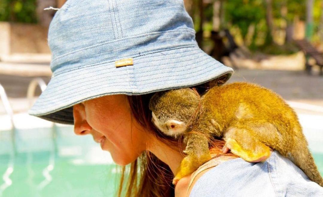 Hotel Karupa Amazonas Leticia Ngoại thất bức ảnh