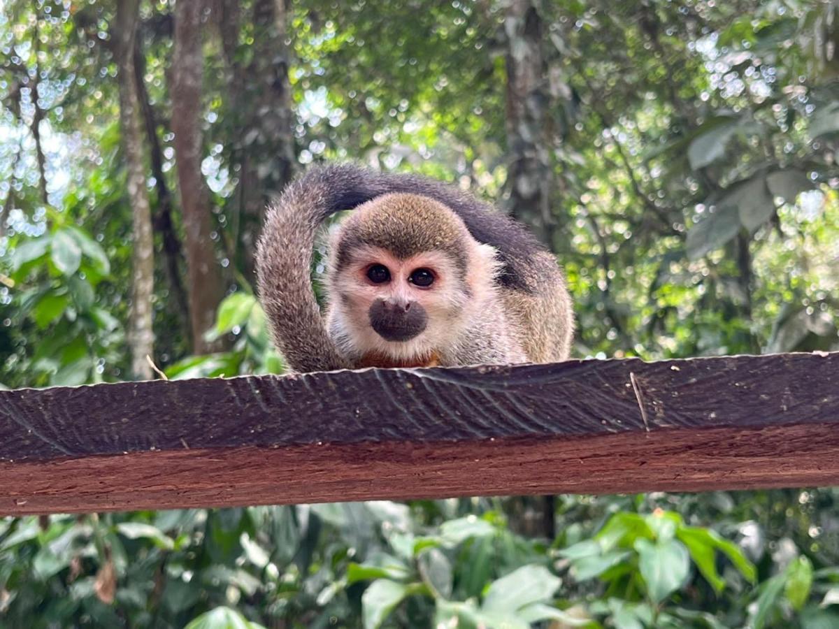 Hotel Karupa Amazonas Leticia Ngoại thất bức ảnh